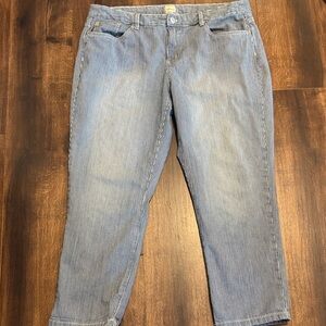 G.H. Bass & Co. Women's Cotton Blue Striped Cropped Jeans